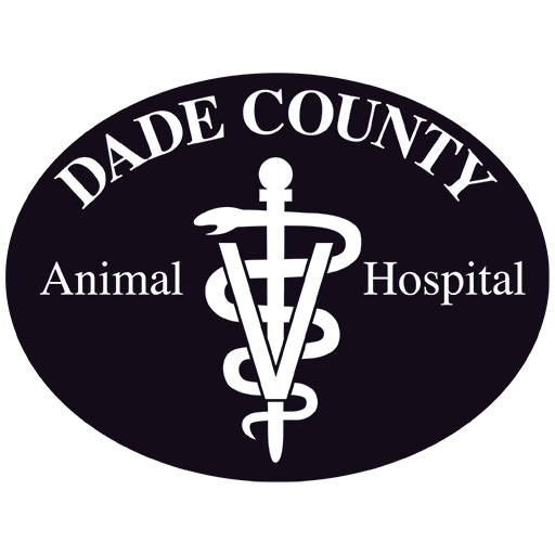 Dade County Animal Hospital: Veterinary Clinic in Wildwood, Georgia